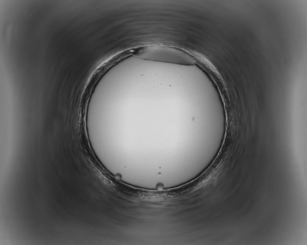 X0000086250831200704191841
