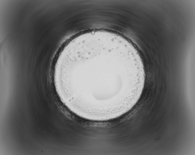 X0000086250832200704191841