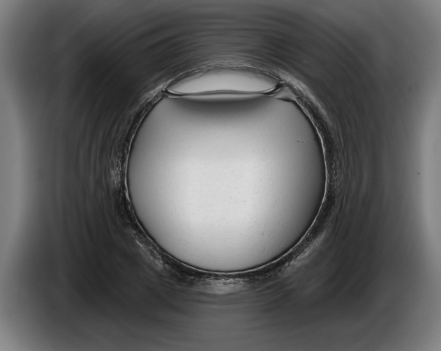 X0000086250833200704191841