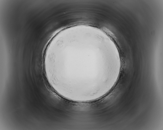 X0000086250836200704191841