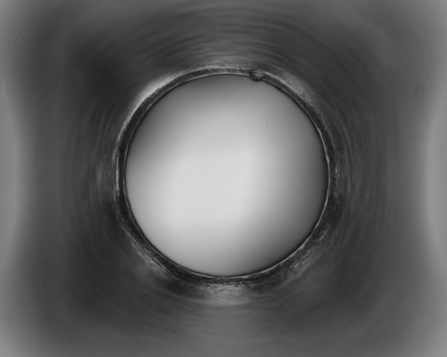 X0000086250838200704191841