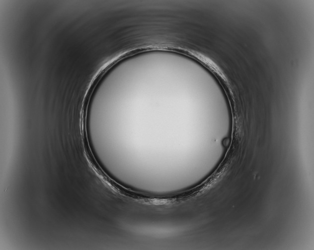 X0000086250839200704191841