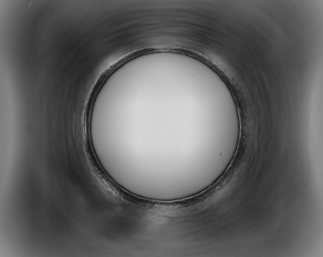 X0000086250840200704191841