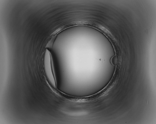 X0000086250841200704191841