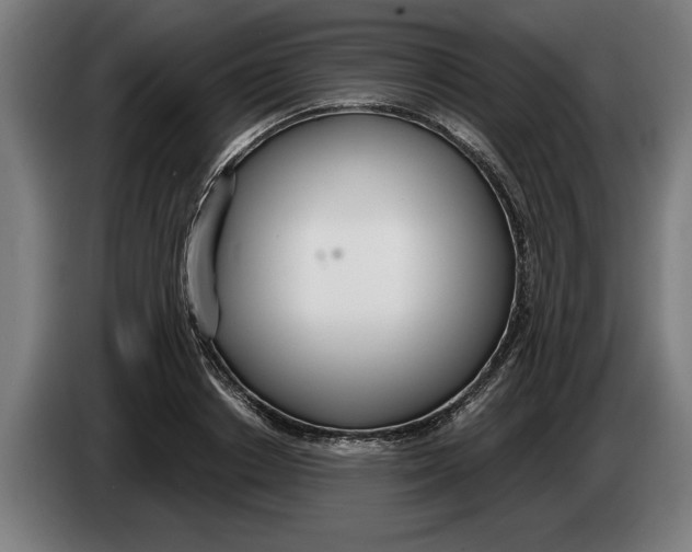 X0000086250842200704191841