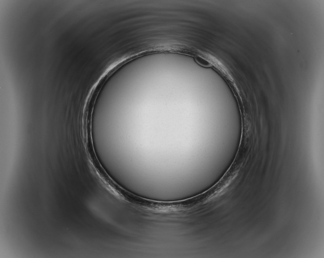 X0000086250843200704191841