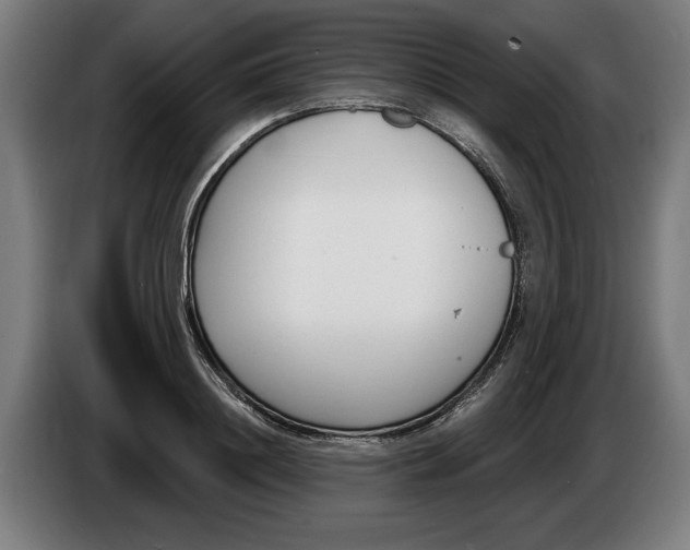 X0000086250844200704191841