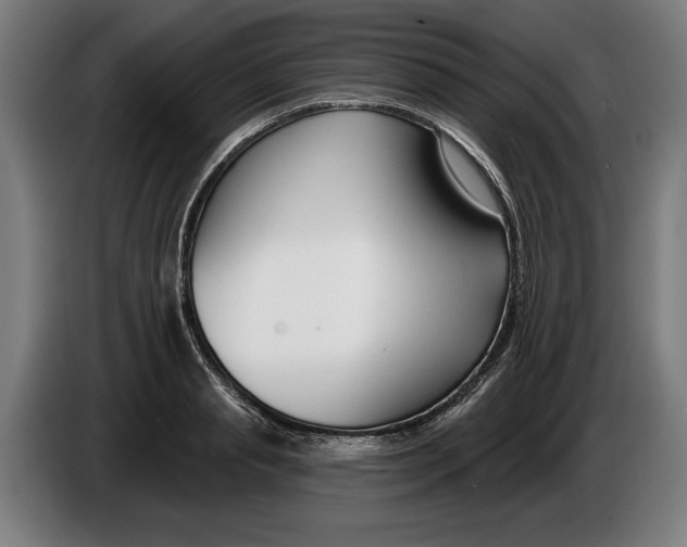 X0000086250845200704191841