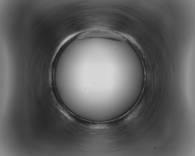 X0000086250846200704191841