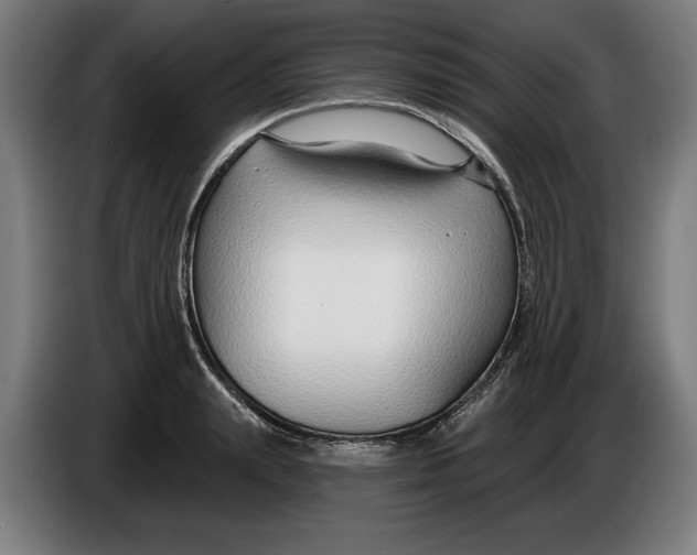 X0000086250847200704191841