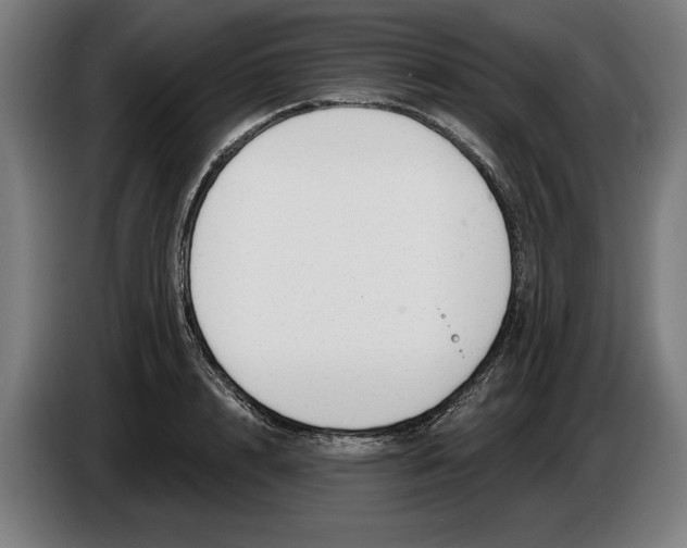 X0000086250848200704191841