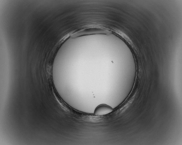 X0000086250849200704191841