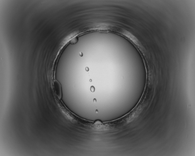 X0000086250850200704191841