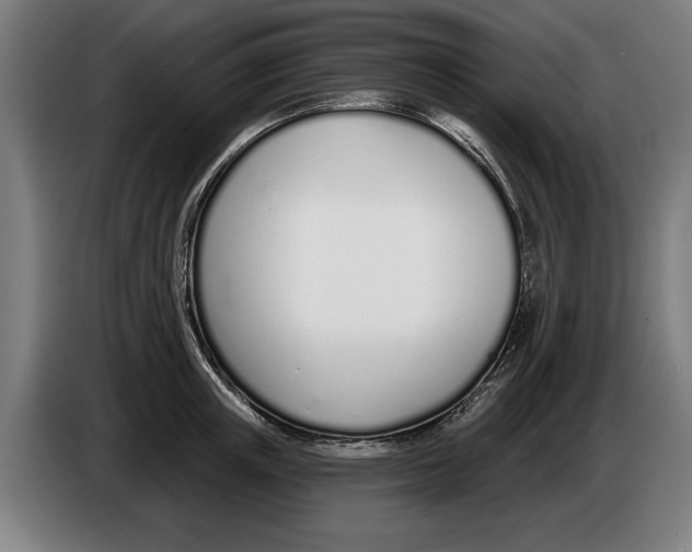 X0000086250851200704191841
