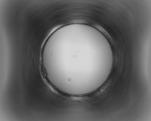 X0000086250852200704191841