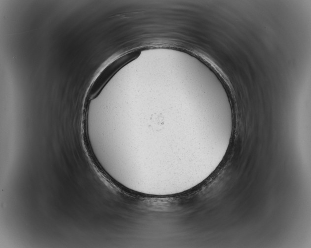 X0000086250853200704191841
