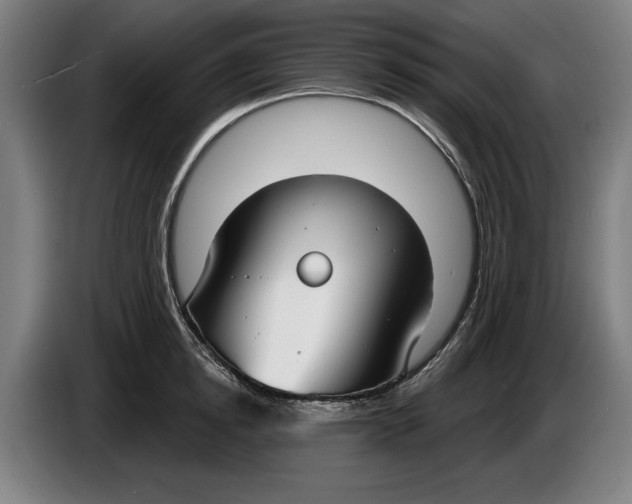 X0000086250854200704191841