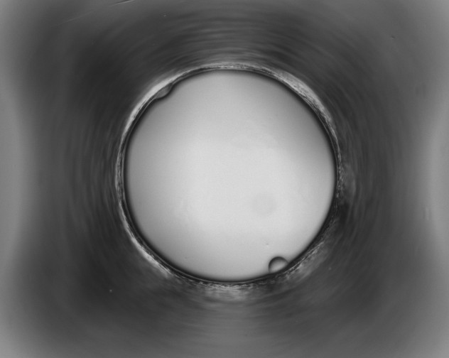X0000086250855200704191841