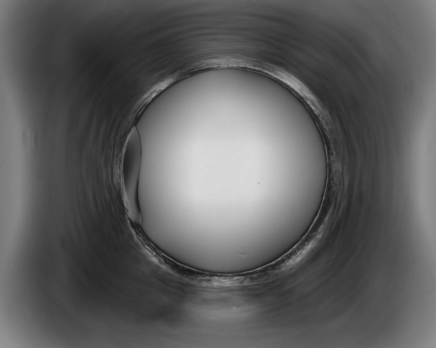 X0000086250857200704191841