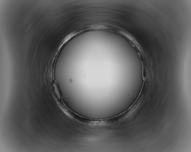 X0000086250858200704191841
