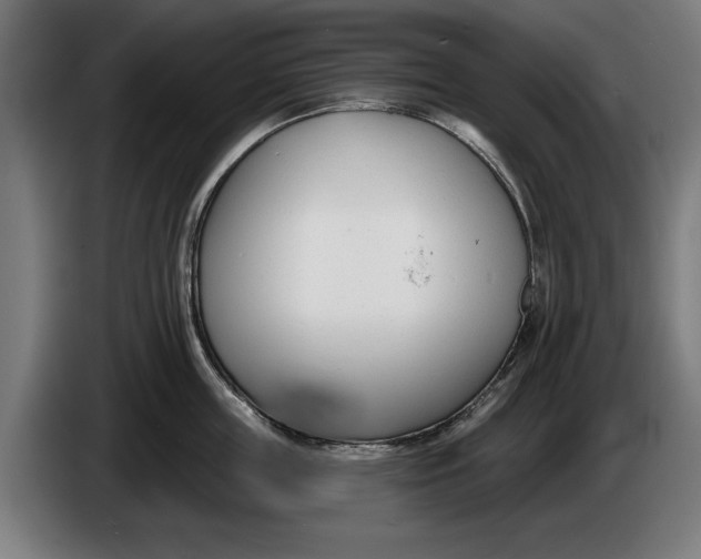 X0000086250859200704191841
