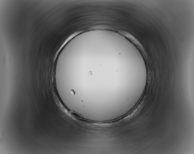 X0000086250860200704191841