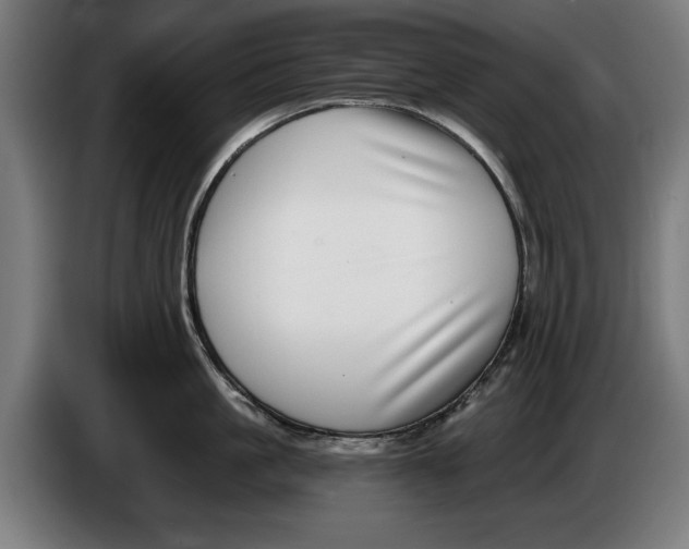 X0000086250861200704191841