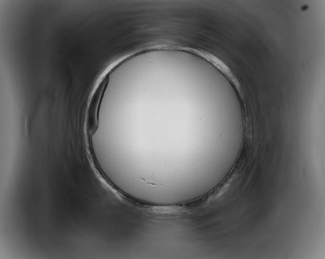 X0000086250863200704191841