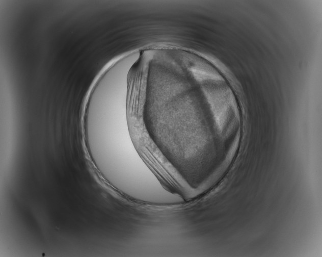 X0000086250864200704191841