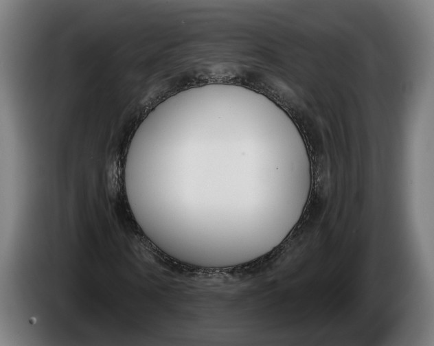 X0000086250866200704191840