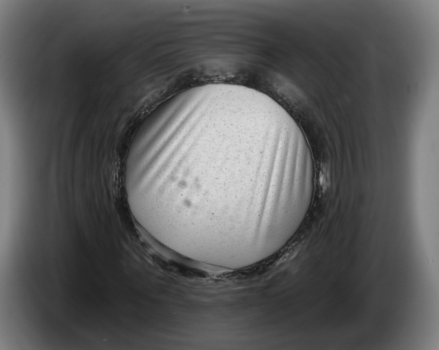 X0000086250867200704191840
