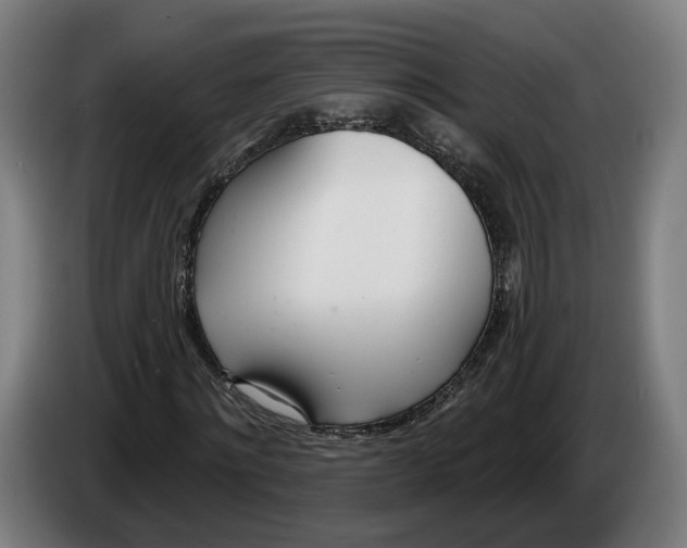 X0000086250868200704191840
