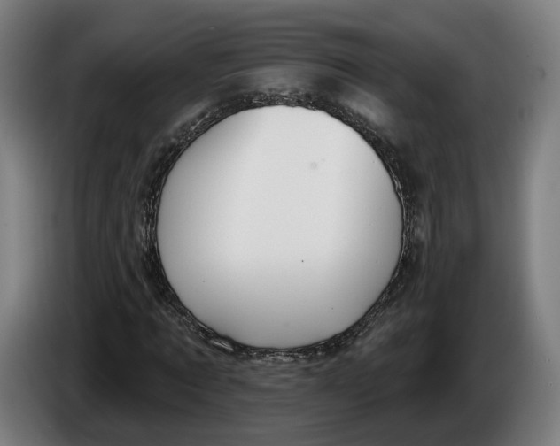 X0000086250869200704191840