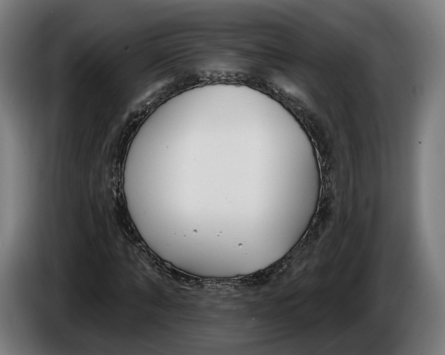 X0000086250870200704191840