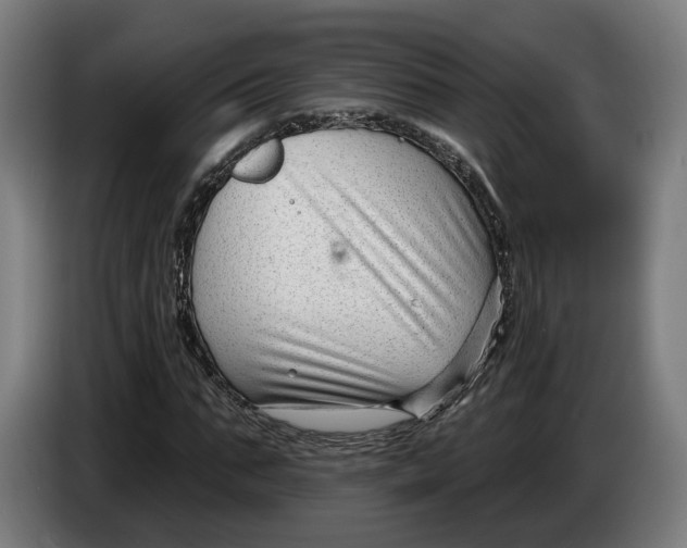 X0000086250871200704191840