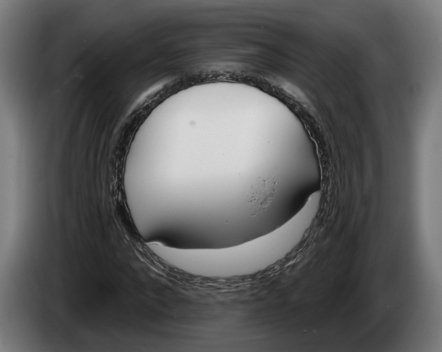 X0000086250872200704191840