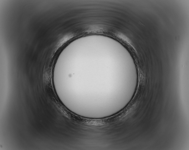 X0000086250874200704191840