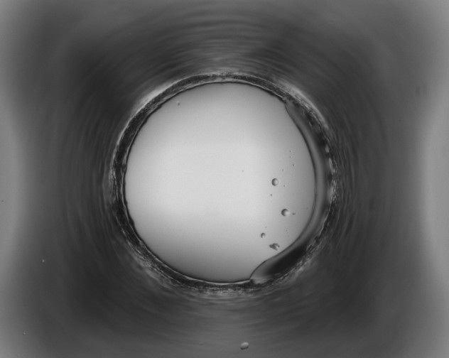 X0000086250876200704191840