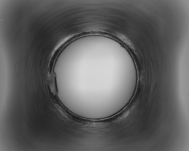 X0000086250877200704191840
