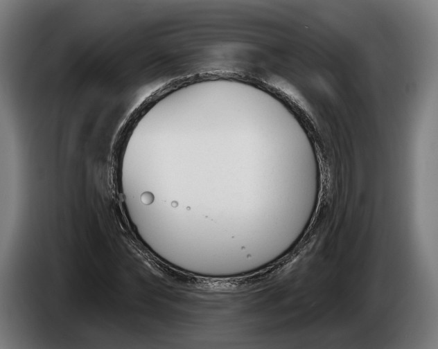 X0000086250878200704191840