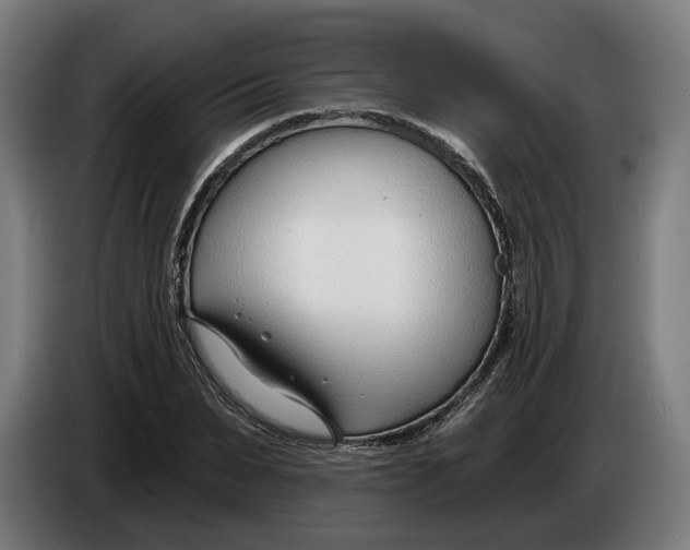 X0000086250879200704191840