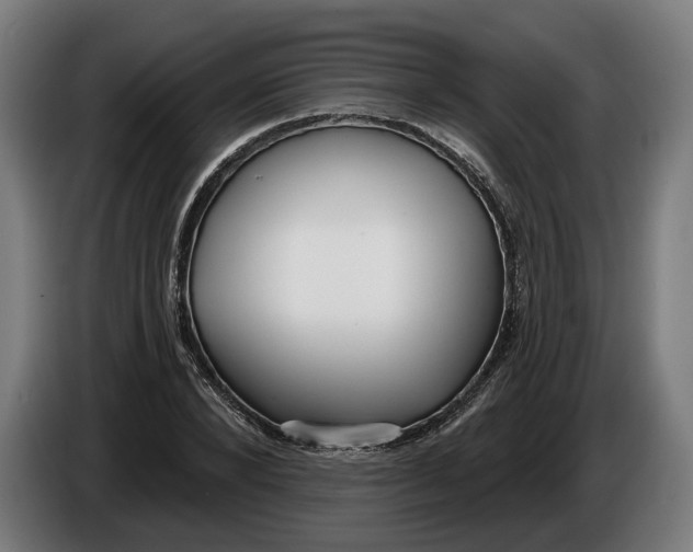 X0000086250880200704191840