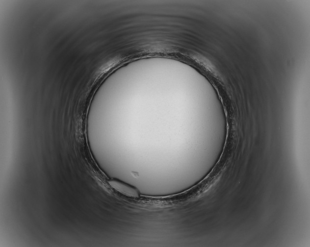 X0000086250881200704191840