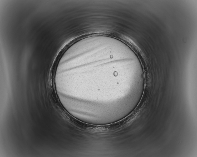 X0000086250883200704191840