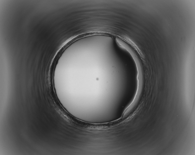 X0000086250884200704191840