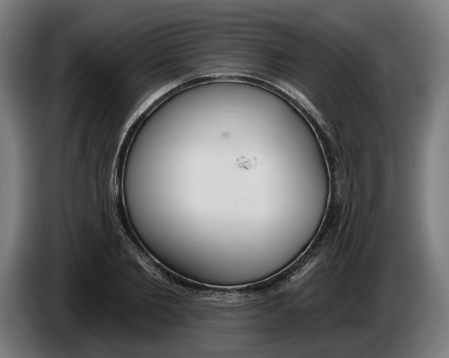 X0000086250885200704191840