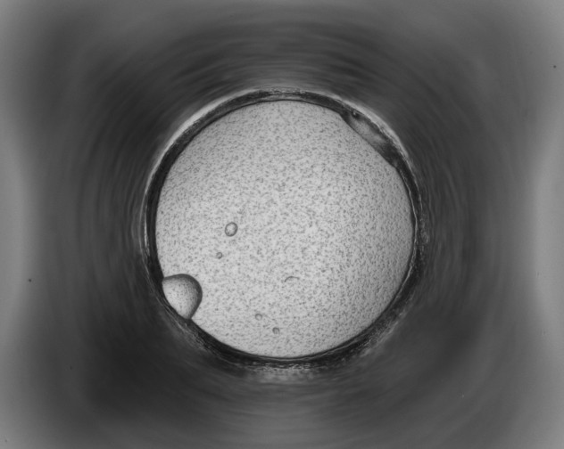 X0000086250887200704191840
