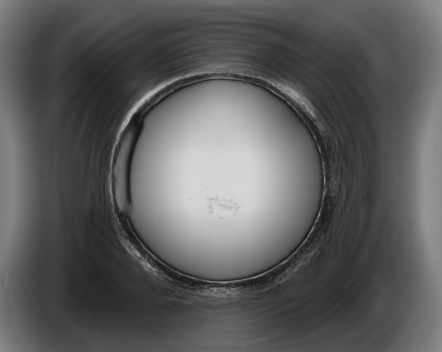 X0000086250888200704191840
