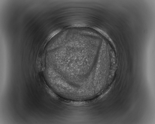 X0000086250889200704191840