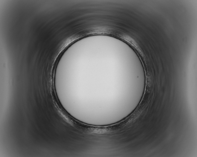 X0000086250890200704191840